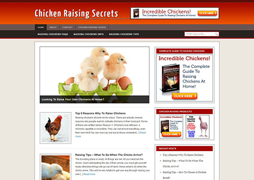 Chicken Raising Secrets